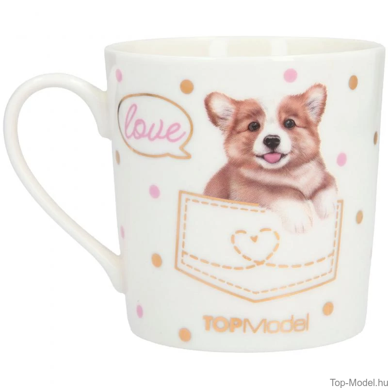 TOPModel Bögre CORGI
